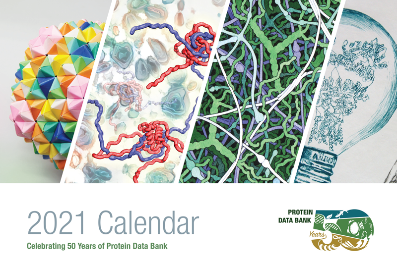 wwPDB calendar 2021 front image