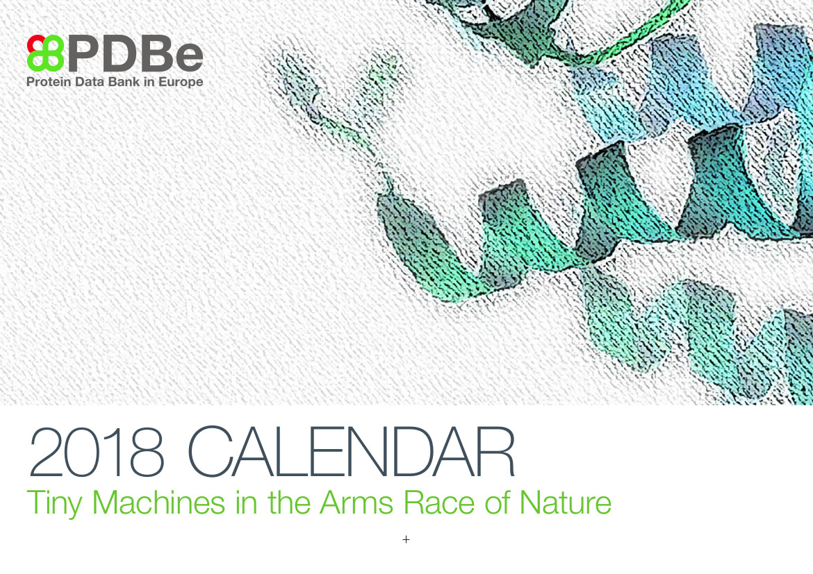 PDBe calendar 2018 front page