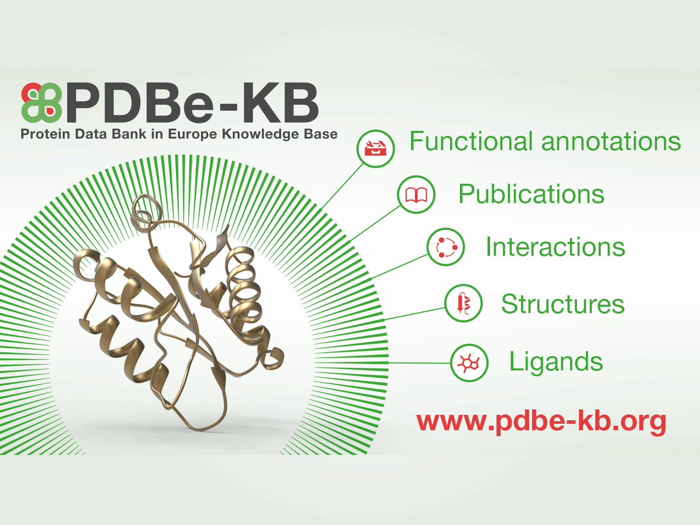 PDBe KB tutorials