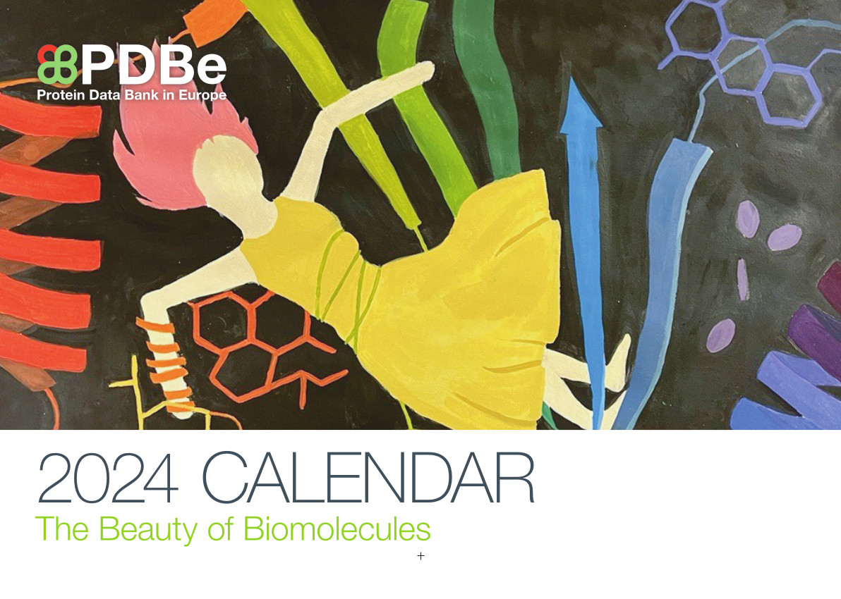 PDBe calendar 2024: the Beauty of Biomolecules