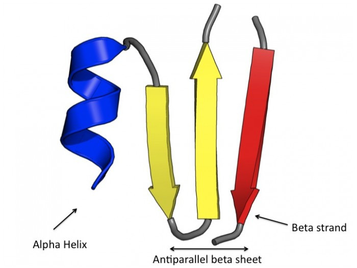 protein secondary structure