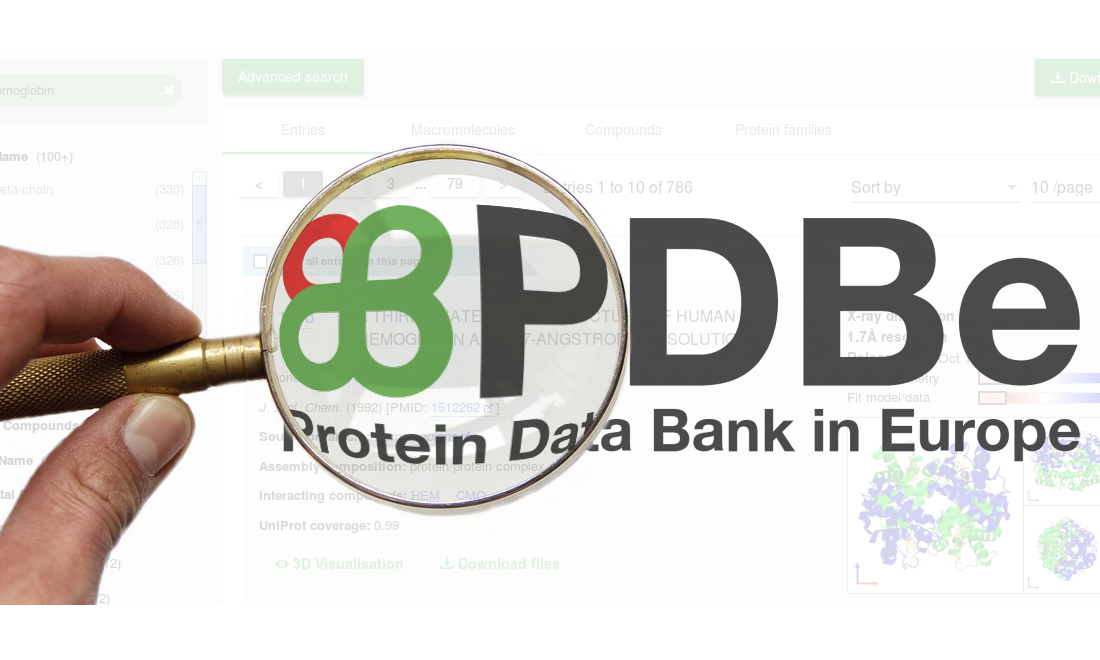 Finding data at PDBe