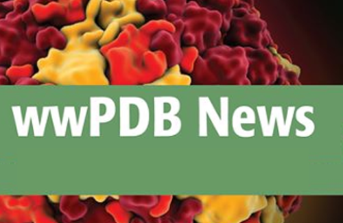 wwPDB News logo