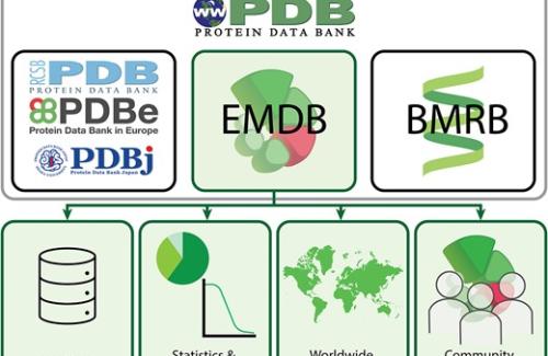 EMDB NAR paper graphical abstract