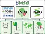 EMDB NAR paper graphical abstract
