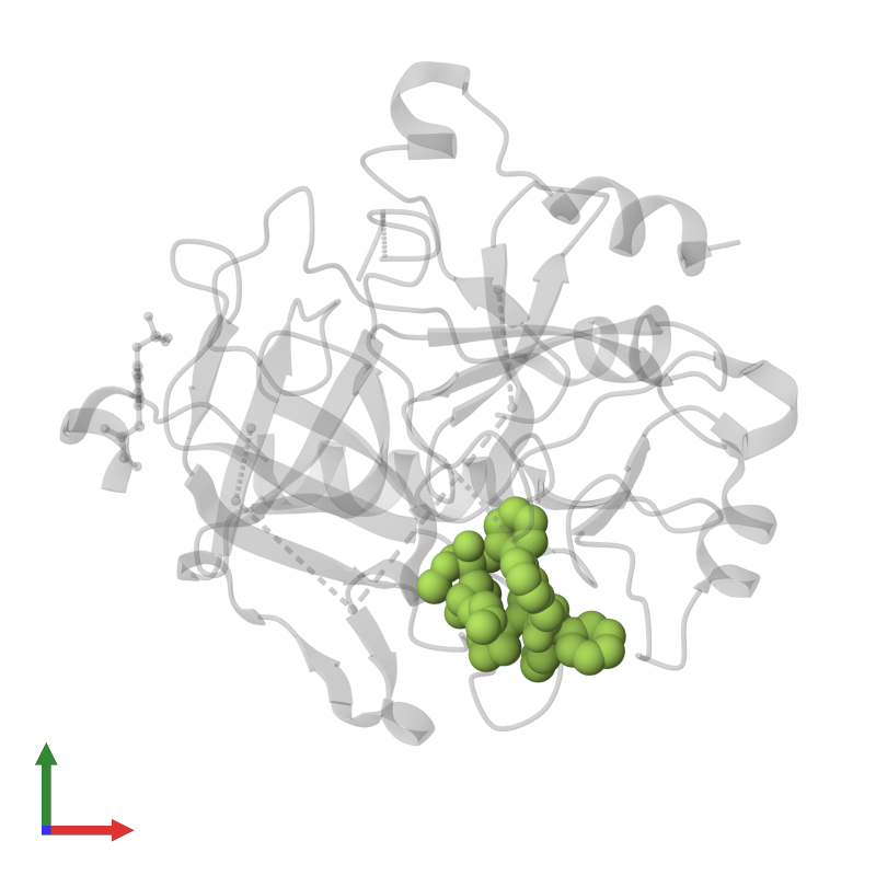 Pdb H D Gallery Protein Data Bank In Europe Pdbe Embl Ebi