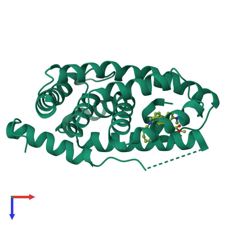 Pdb Osh Gallery Protein Data Bank In Europe Pdbe Embl Ebi