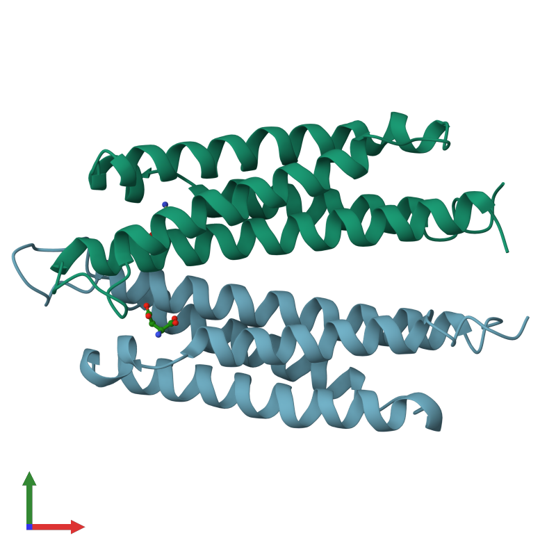 PDB 1vlt Gallery Protein Data Bank In Europe PDBe EMBL EBI