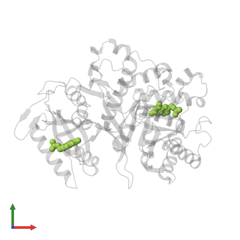 Pdb Bmb Gallery Protein Data Bank In Europe Pdbe Embl Ebi