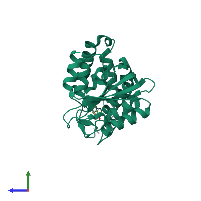 PDB 2ef1 Gallery Protein Data Bank In Europe PDBe EMBL EBI