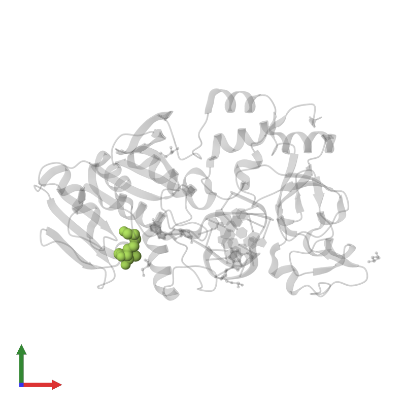 PDB 2ibt Gallery Protein Data Bank In Europe PDBe EMBL EBI