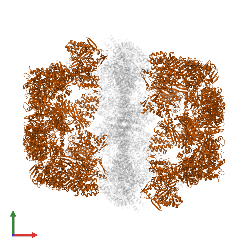 Pdb Uv Gallery Protein Data Bank In Europe Pdbe Embl Ebi