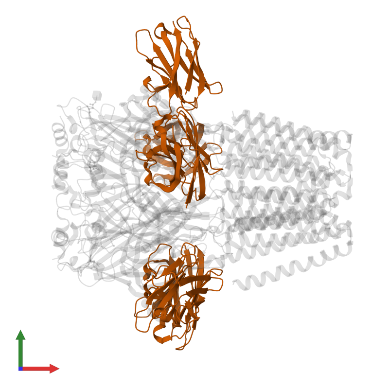 Pdb Ojm Gallery Protein Data Bank In Europe Pdbe Embl Ebi