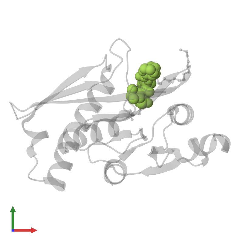 Pdb X Gallery Protein Data Bank In Europe Pdbe Embl Ebi