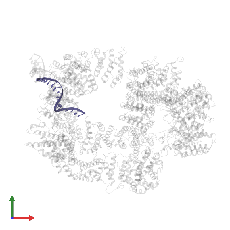 Pdb K Gallery Protein Data Bank In Europe Pdbe Embl Ebi