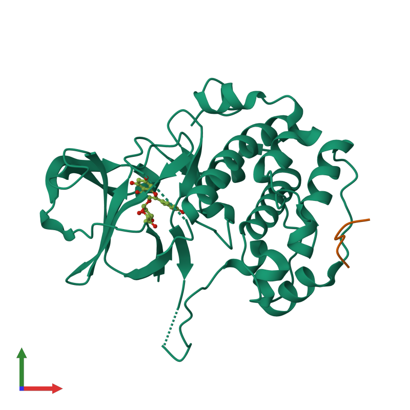 PDB 8eq5 Gallery Protein Data Bank In Europe PDBe EMBL EBI