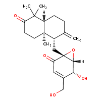 CHEBI:174964