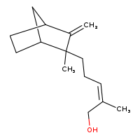 CHEBI:195979