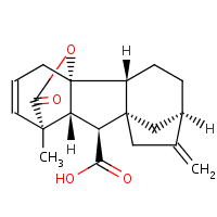 CHEBI:29467