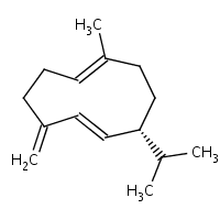 CHEBI:49046