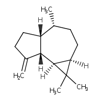 CHEBI:80940