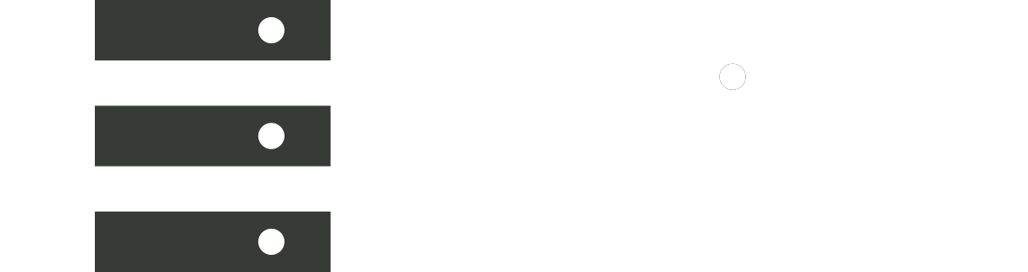 EpiRR logo