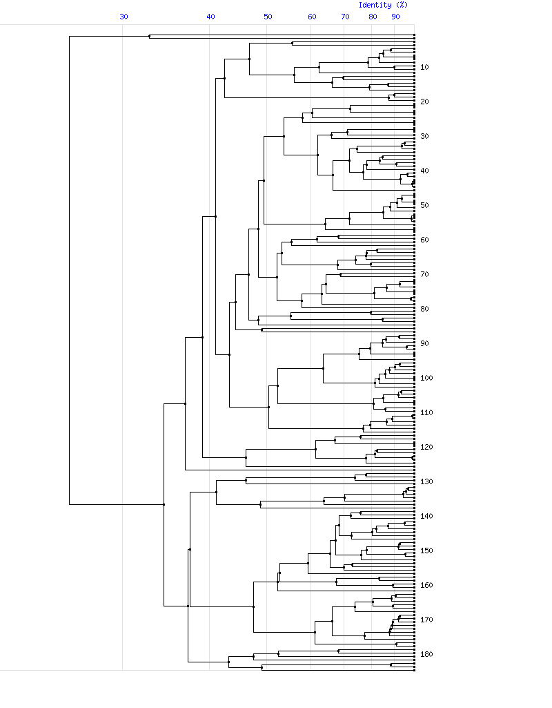 Tree for family I25B