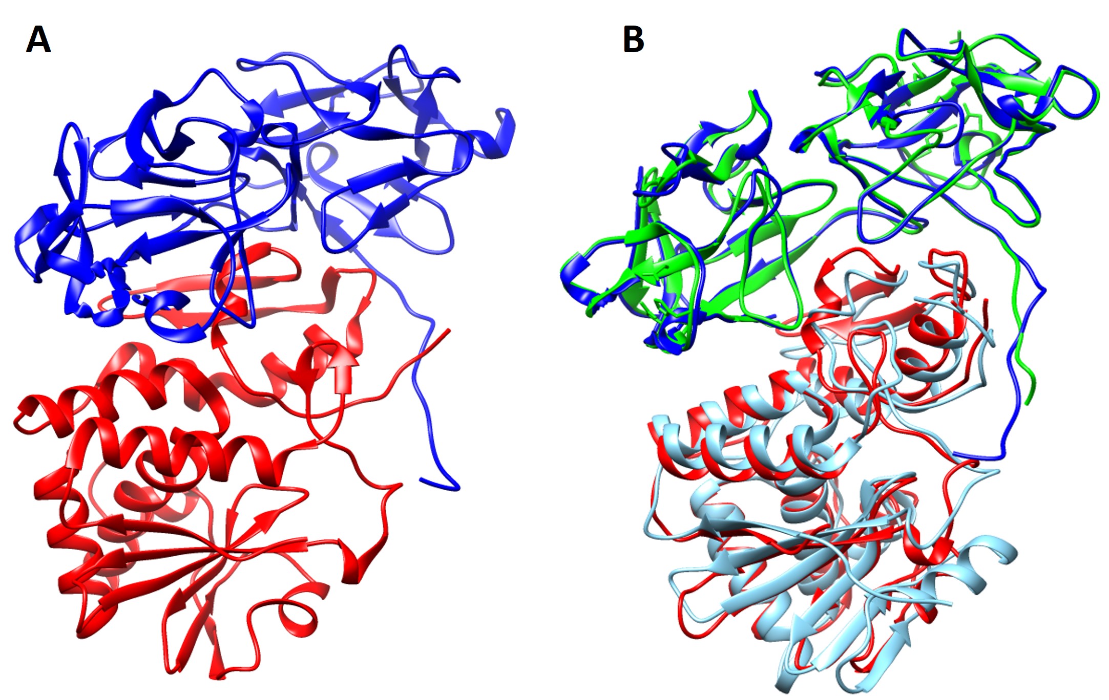 Structural insights into abrin