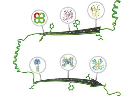 20 Years of PDBe