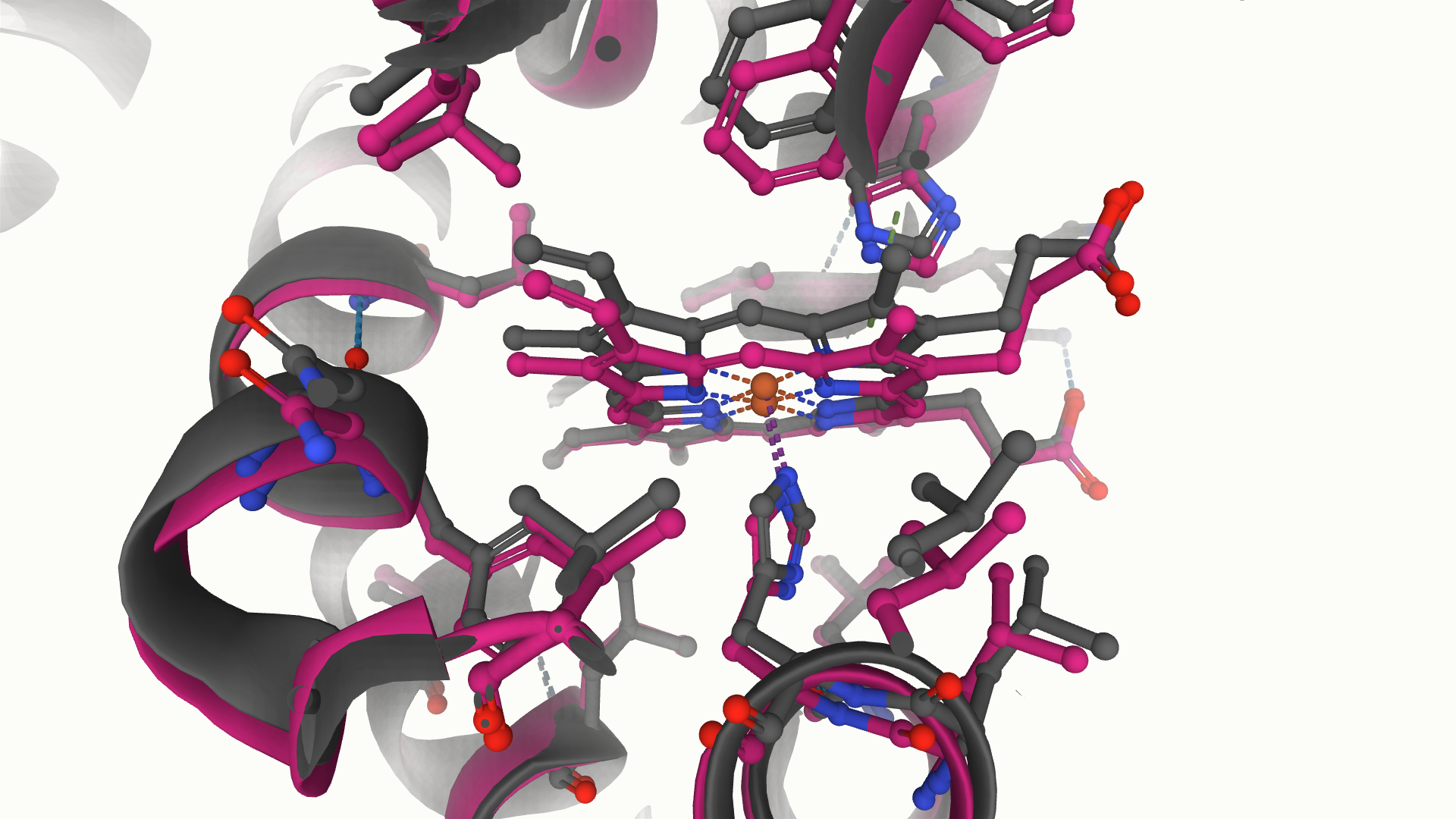 Multiple conformations of haemoglobin representing t-state and r-state