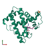 PDB entry 106m coloured by chain, front view.