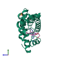 PDB entry 111m coloured by chain, side view.