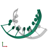 DNA (5'-D(*GP*TP*CP*AP*CP*AP*TP*G)-3') in PDB entry 124d, assembly 1, front view.