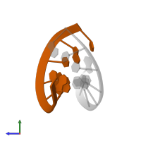 RNA (5'-R(*CP*AP*UP*GP*UP*GP*AP*C)-3') in PDB entry 124d, assembly 1, side view.