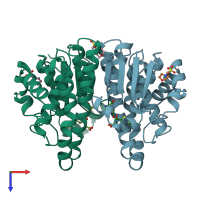 PDB entry 17gs coloured by chain, top view.