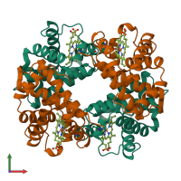 Hetero tetrameric assembly 1 of PDB entry 1a00 coloured by chemically distinct molecules, front view.