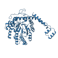 The deposited structure of PDB entry 1a0c contains 4 copies of SCOP domain 51665 (Xylose isomerase) in Xylose isomerase. Showing 1 copy in chain A.