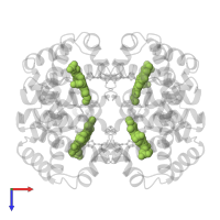 PROTOPORPHYRIN IX CONTAINING FE in PDB entry 1a4f, assembly 1, top view.