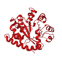 The deposited structure of PDB entry 1a5b contains 1 copy of CATH domain 3.20.20.70 (TIM Barrel) in Tryptophan synthase alpha chain. Showing 1 copy in chain A.
