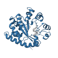 The deposited structure of PDB entry 1a5b contains 1 copy of Pfam domain PF00290 (Tryptophan synthase alpha chain) in Tryptophan synthase alpha chain. Showing 1 copy in chain A.