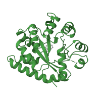 The deposited structure of PDB entry 1a5b contains 1 copy of SCOP domain 51381 (Tryptophan biosynthesis enzymes) in Tryptophan synthase alpha chain. Showing 1 copy in chain A.