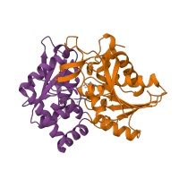 The deposited structure of PDB entry 1a5b contains 2 copies of CATH domain 3.40.50.1100 (Rossmann fold) in Tryptophan synthase beta chain. Showing 2 copies in chain B.