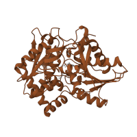The deposited structure of PDB entry 1a5b contains 1 copy of SCOP domain 53687 (Tryptophan synthase beta subunit-like PLP-dependent enzymes) in Tryptophan synthase beta chain. Showing 1 copy in chain B.