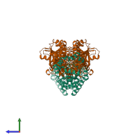 Hetero tetrameric assembly 1 of PDB entry 1a5b coloured by chemically distinct molecules, side view.