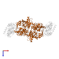 Tryptophan synthase beta chain in PDB entry 1a5b, assembly 1, top view.
