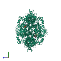 Homo tetrameric assembly 1 of PDB entry 1a5u coloured by chemically distinct molecules, side view.