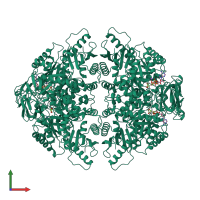 Homo tetrameric assembly 2 of PDB entry 1a5u coloured by chemically distinct molecules, front view.