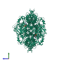 Homo tetrameric assembly 2 of PDB entry 1a5u coloured by chemically distinct molecules, side view.