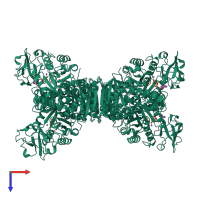 Homo tetrameric assembly 2 of PDB entry 1a5u coloured by chemically distinct molecules, top view.