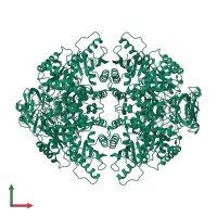 Pyruvate kinase PKM in PDB entry 1a5u, assembly 1, front view.